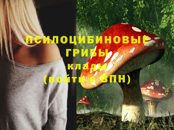 сатива Магас