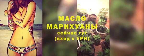 сатива Магас