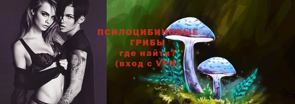 сатива Магас