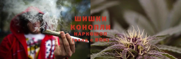 мдпв Майский