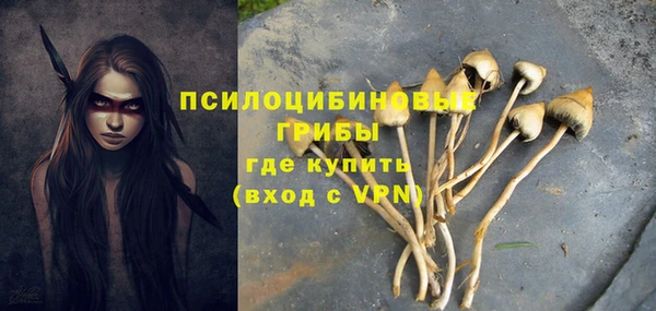 мдпв Майский
