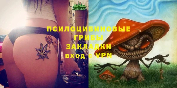 мдпв Богданович