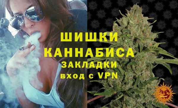 мдпв Майский