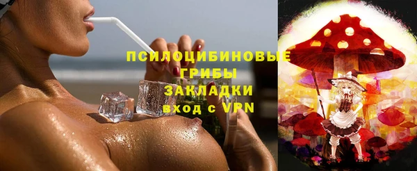 сатива Магас