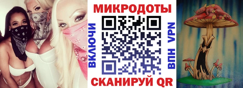 Галлюциногенные грибы Psilocybine cubensis где найти Ульяновск