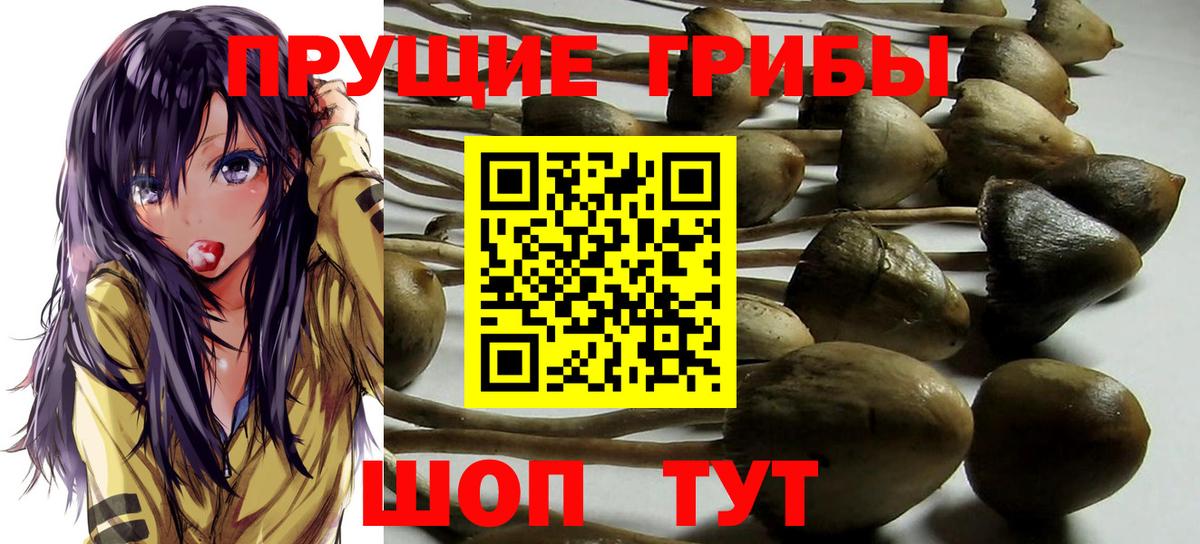 Псилоцибиновые грибы прущие грибы  Ульяновск 