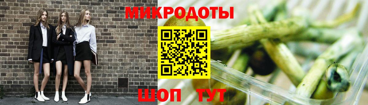 Галлюциногенные грибы Psilocybine cubensis Ульяновск