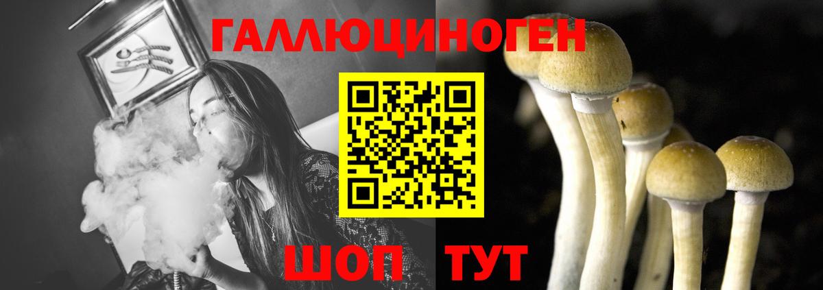 Галлюциногенные грибы мицелий  Вход с VPN  Ульяновск 